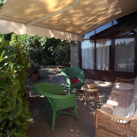 Quercia קורטונה